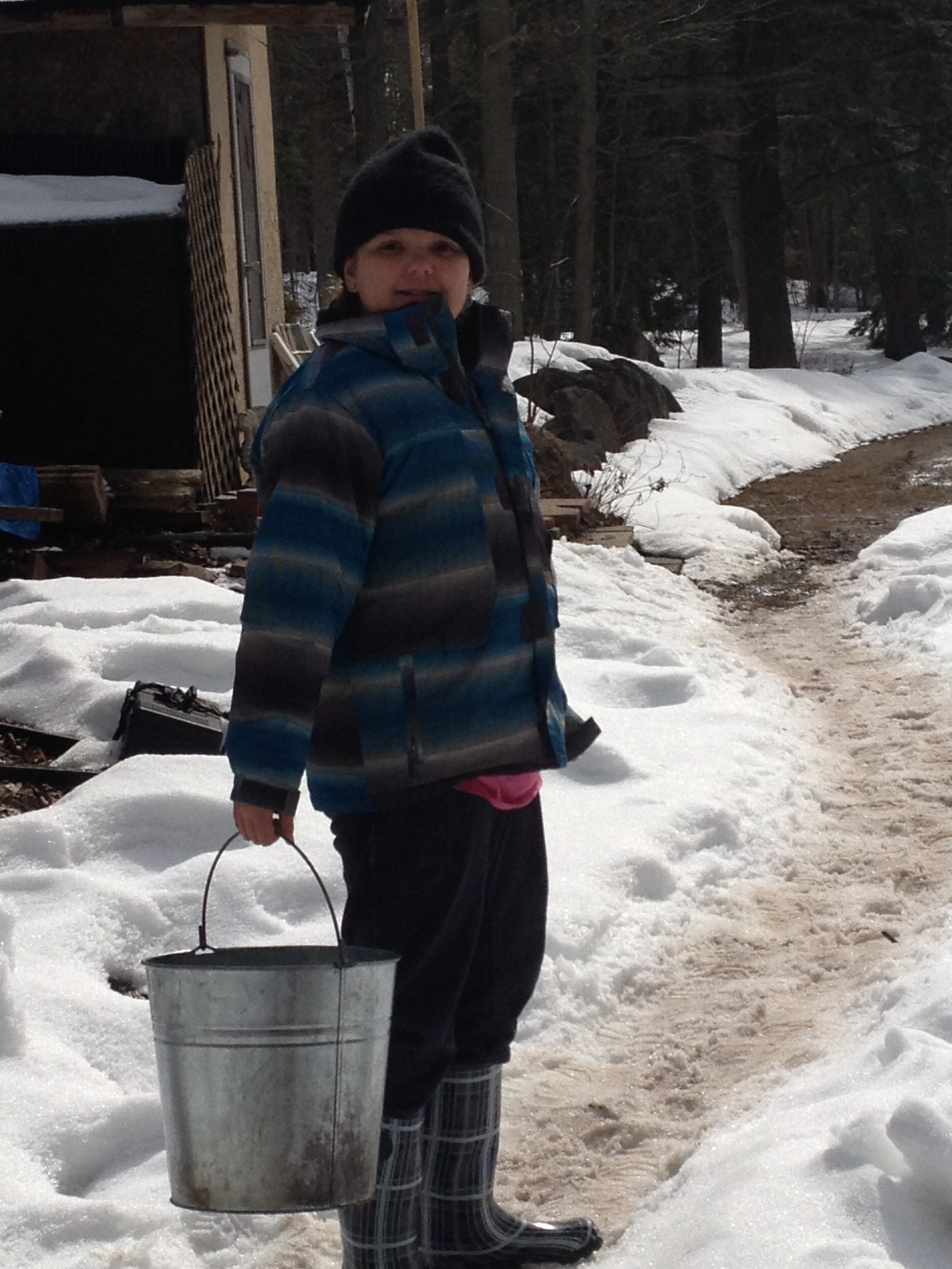 Collecting sap to make maple syrup!