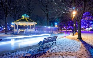 Gage Park in the winter