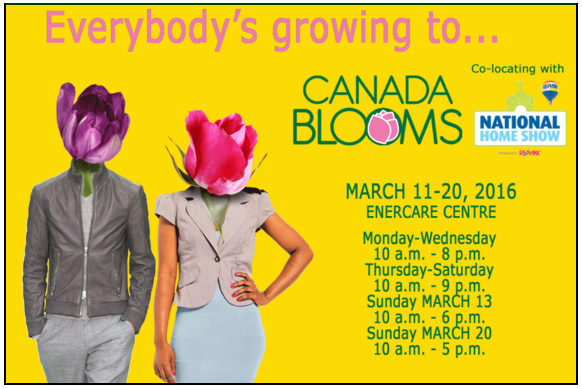 canada blooms, giveaway