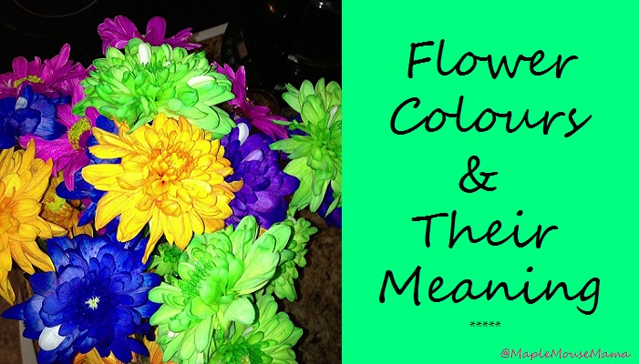 meaning of flower colours