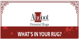 home health, rug