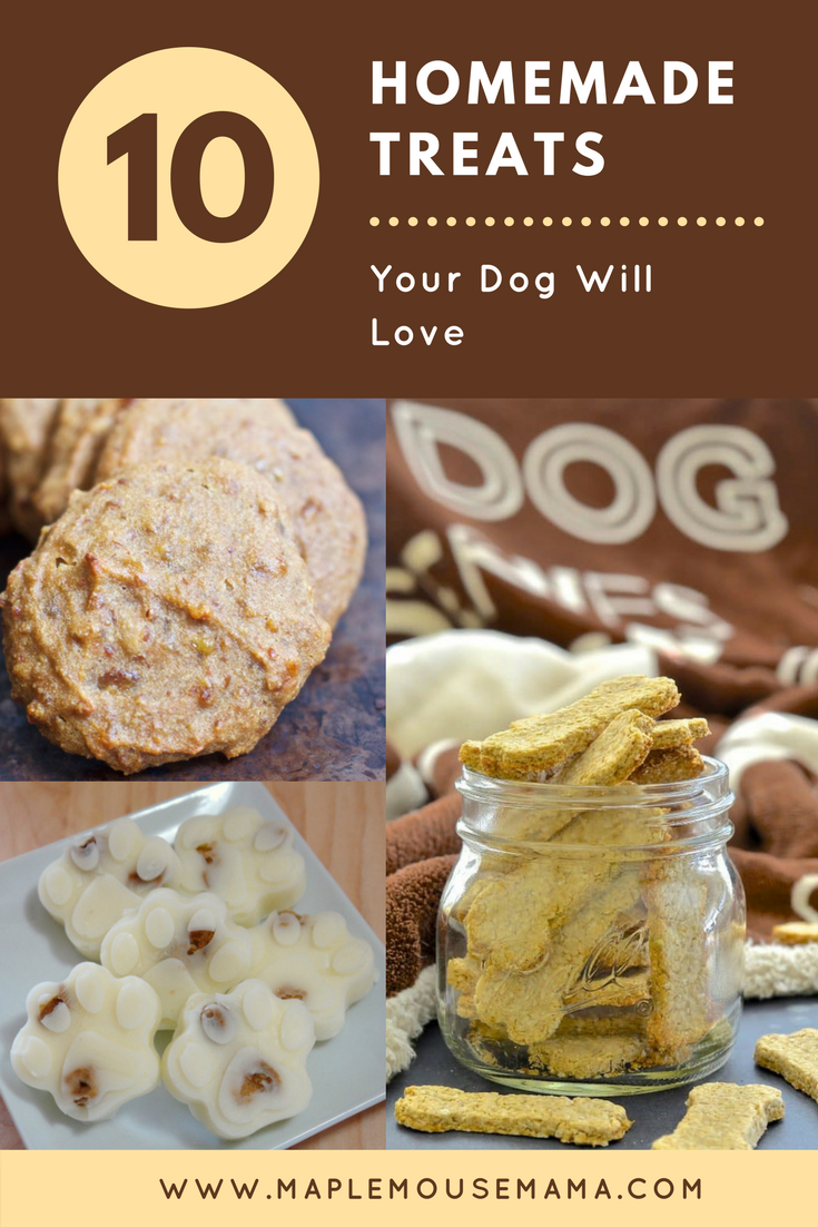 Homemade-Treats-Dog