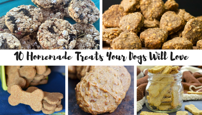 Homemade-Treats-Dog