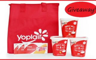 Yopalit-whole-milk-yogurt