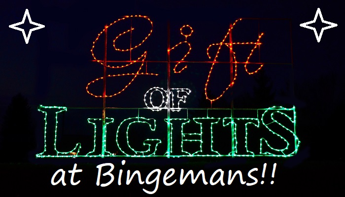 Bingemans