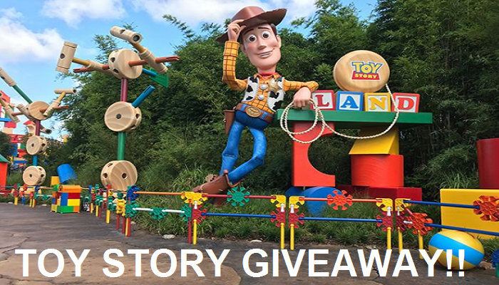 toy story land